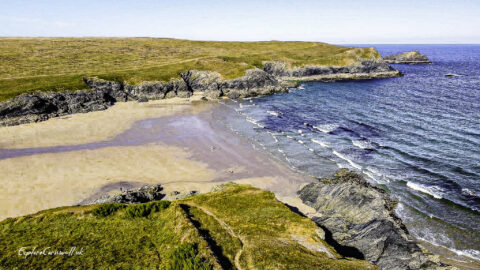 Polly Joke Beach