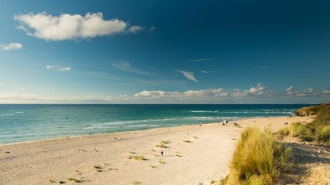 Hayle Beach