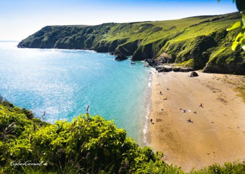 https://explorecornwall.uk/wp-content/uploads/2023/06/lantic-bay-1-480x341.jpg